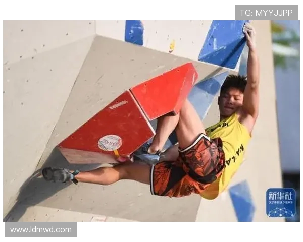 武汉攀岩队在全国攀岩状态排行榜中荣获第九名的优异成绩