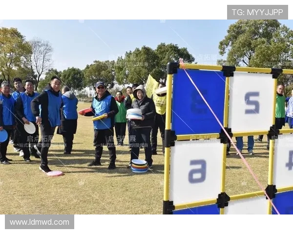 飞盘战术揭秘：南京飞盘队如何巧妙运用防反策略
